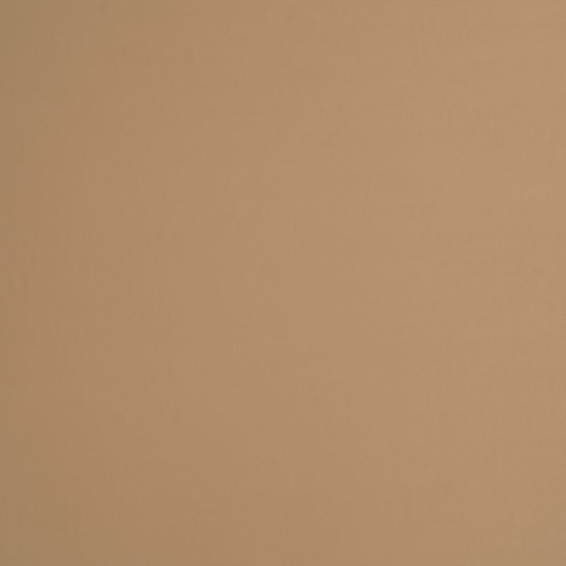 AF-SM20